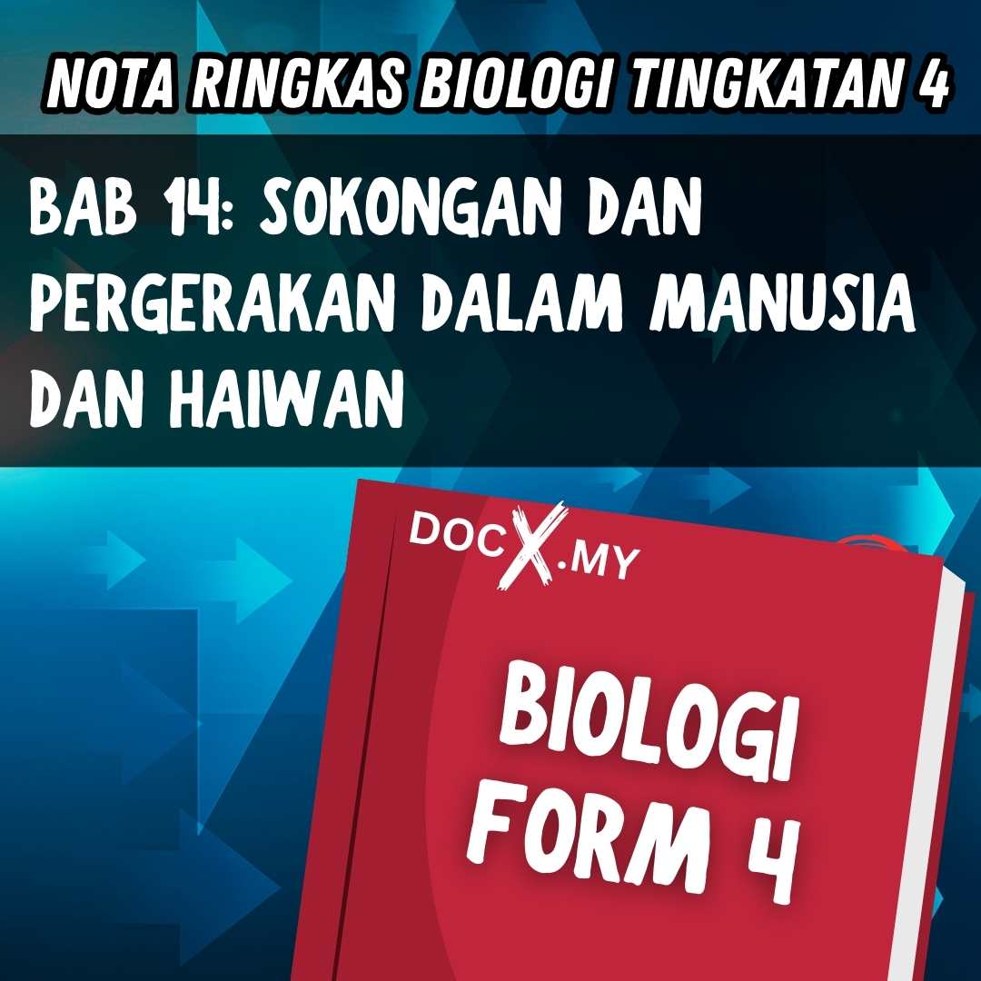 NOTA BIOLOGI TINGKATAN 4 BAB 14 SOKONGAN DAN PERGERAKAN DALAM MANUSIA ...