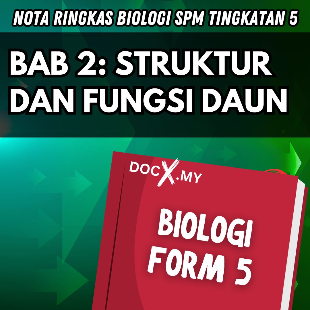 Nota Biologi Tingkatan 5 Bab 2 Struktur Dan Fungsi Daun Docxmy 